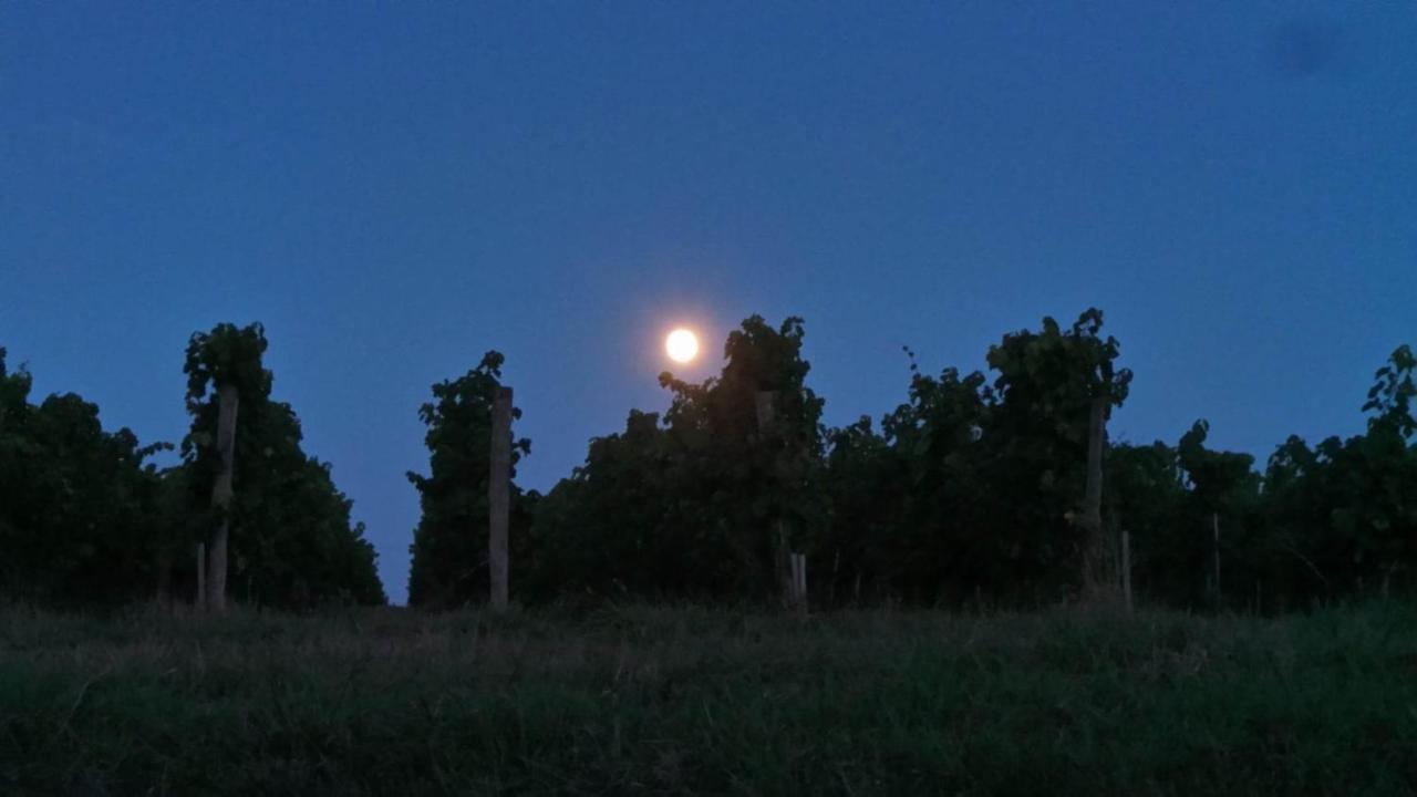 Dom Peyreton Prestige Cottages Set In A Charming Wine Property Villegouge Luaran gambar